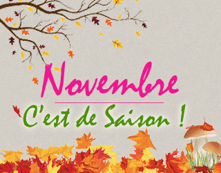 Produits de saison en Novembre