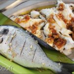 Dorade espagnole